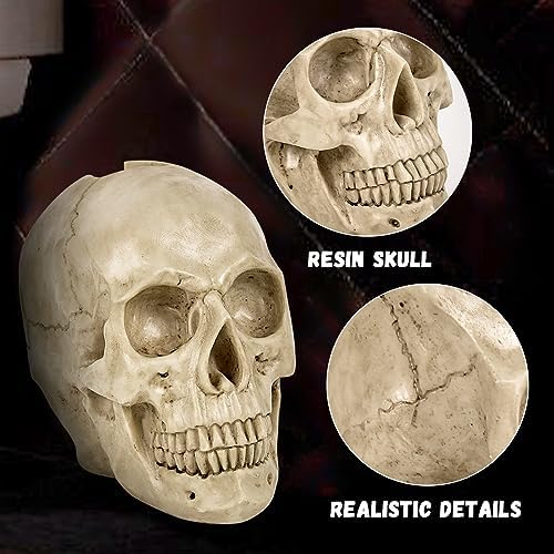 Gothic Skeleton Toilet Set for Halloween