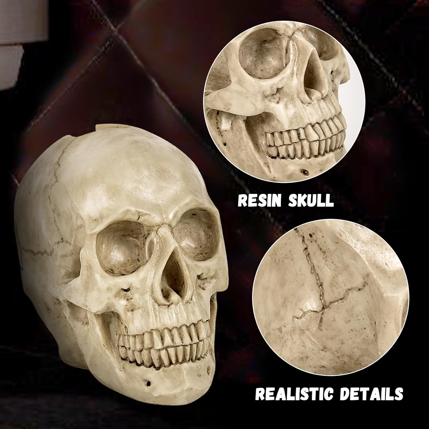 Gothic Skeleton Toilet Set for Halloween